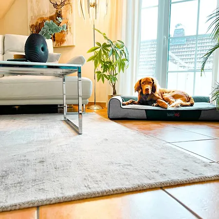 Apartamento Weitsicht Bad Harzburg